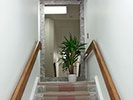 CFH Studio.com