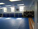 CFH Studio.com