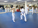 CFH Studio.com